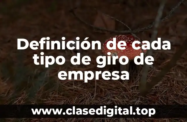 Definición de cada tipo de giro de empresa