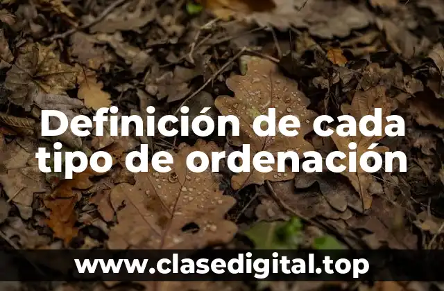 Definición de cada tipo de ordenación