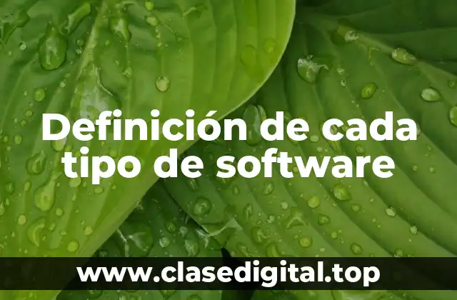 Definición de cada tipo de software
