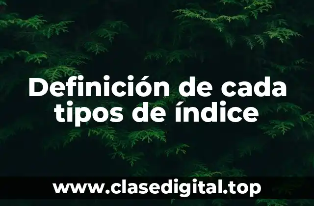 Definición de cada tipos de índice