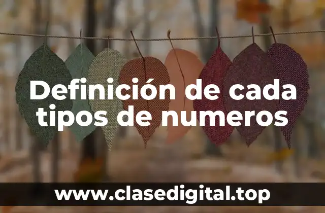 Definición de cada tipos de numeros