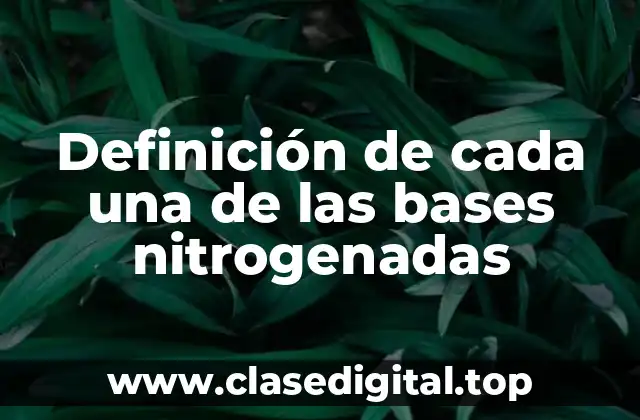 Definición de cada una de las bases nitrogenadas