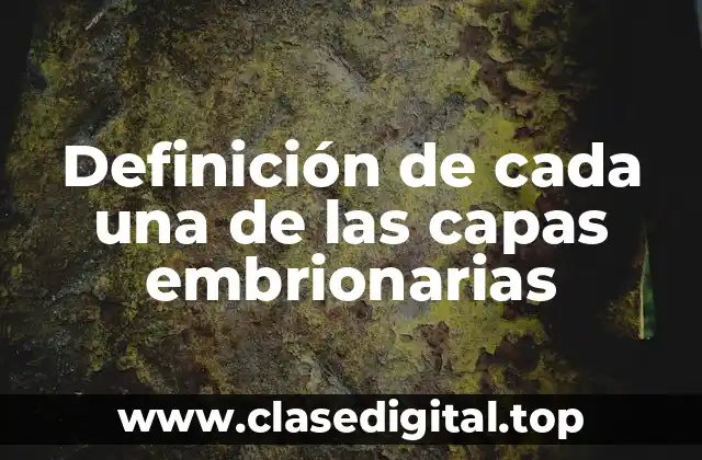 Definición de cada una de las capas embrionarias