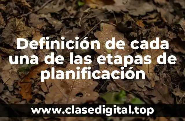 Definición de cada una de las etapas de planificación