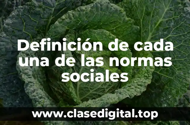 Definición de cada una de las normas sociales