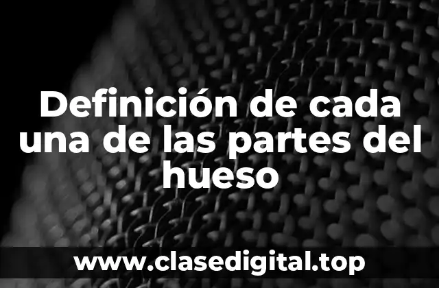 Definición técnica de cada una de las partes del hueso