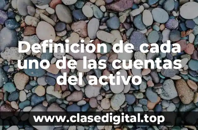 Definición de cada uno de las cuentas del activo