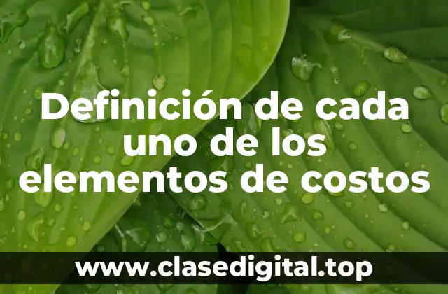 Definición de cada uno de los elementos de costos