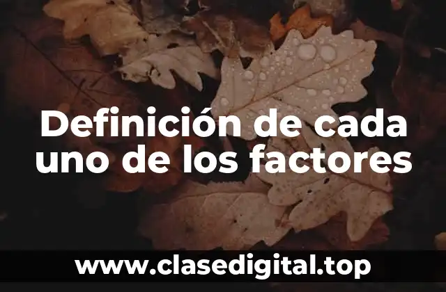 Definición de cada uno de los factores