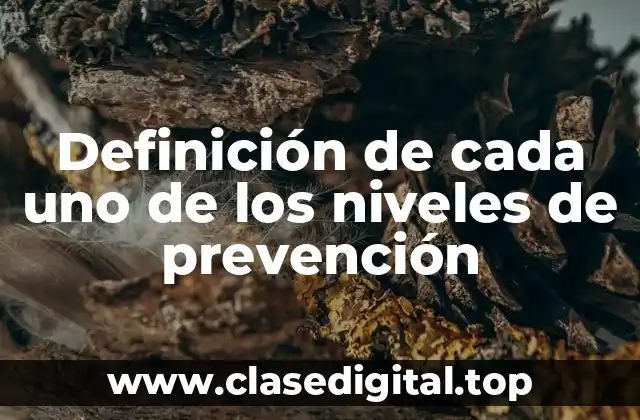 Definición de cada uno de los niveles de prevención