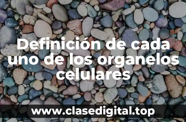 Definición técnica de los organelos celulares