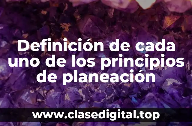 Definición de cada uno de los principios de planeación