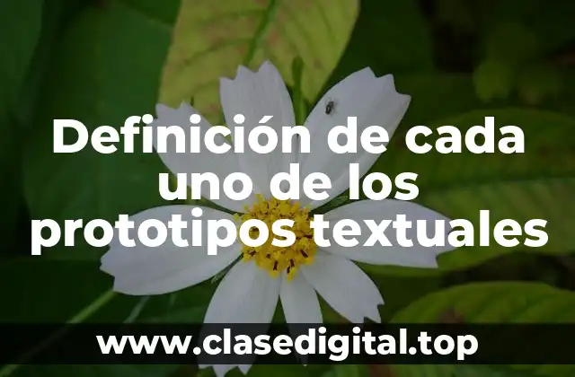 Definición de cada uno de los prototipos textuales