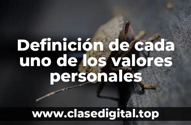 Definición de cada uno de los valores personales