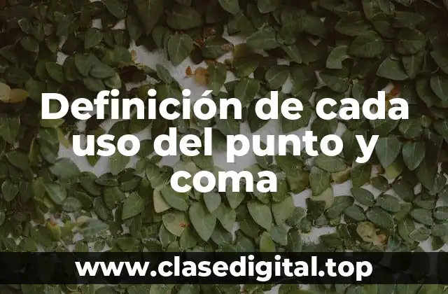 Ejemplos de cada uso del punto y coma