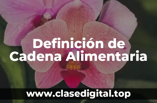 Definición de Cadena Alimentaria