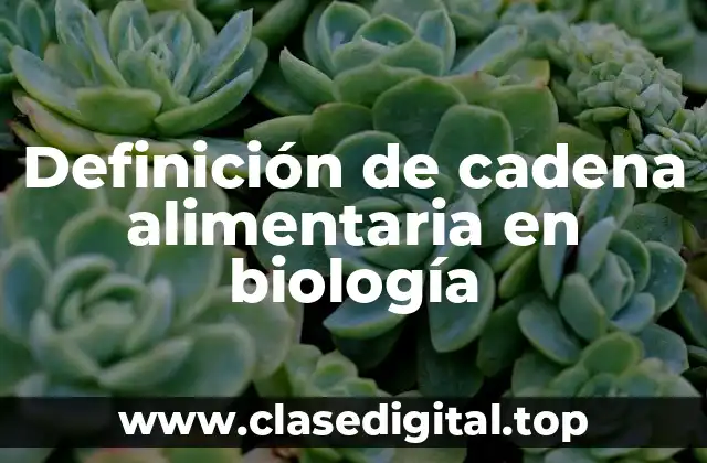 Definición de cadena alimentaria en biología