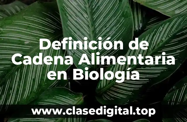 Definición Técnica de Cadena Alimentaria