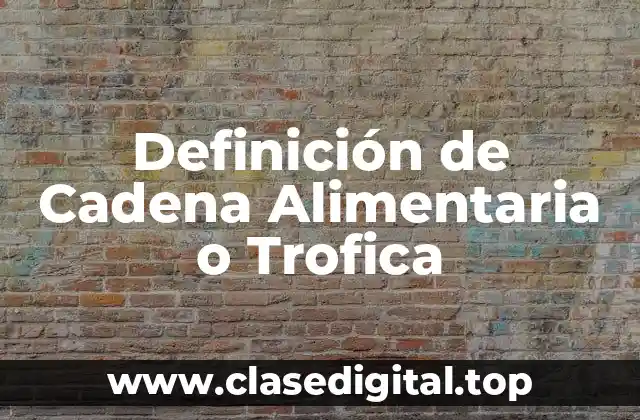 Definición de Cadena Alimentaria o Trofica