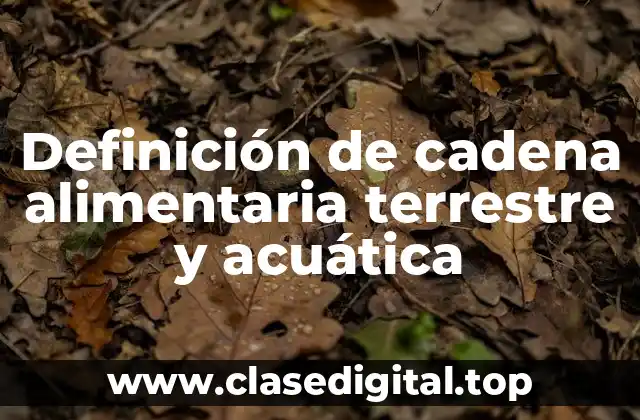 Definición de cadena alimentaria terrestre y acuática