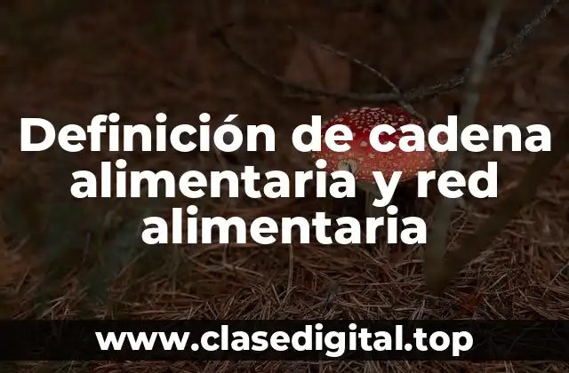 Definición de cadena alimentaria y red alimentaria