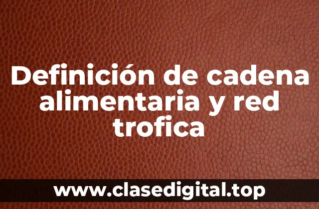 Definición de cadena alimentaria y red trofica