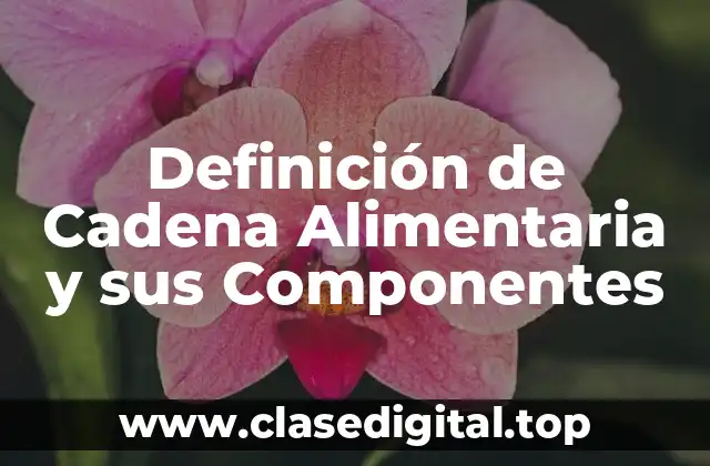 Definición de Cadena Alimentaria y sus Componentes