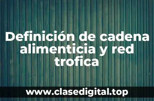 Definición de cadena alimenticia y red trofica
