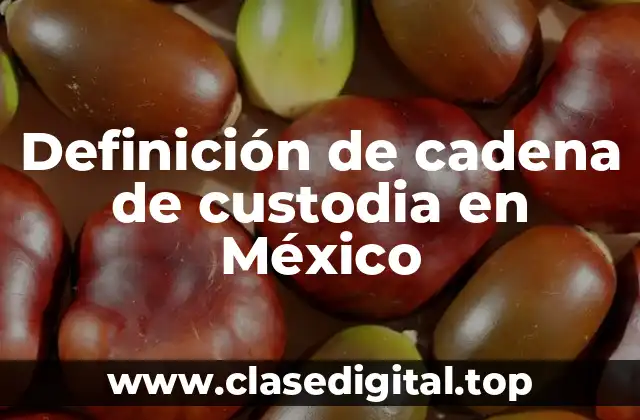 Definición de cadena de custodia en México