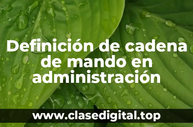Definición de cadena de mando en administración