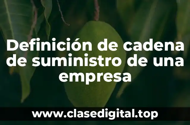 Definición de cadena de suministro de una empresa