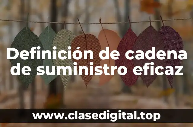 Definición de cadena de suministro eficaz