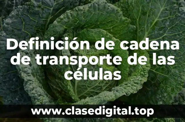 Definición de cadena de transporte de las células
