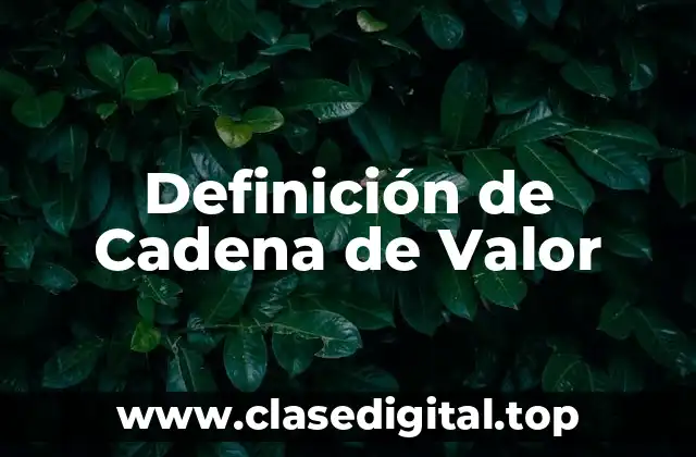 Definición técnica de Cadena de Valor