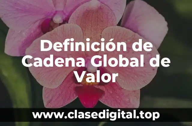 Definición técnica de Cadena Global de Valor