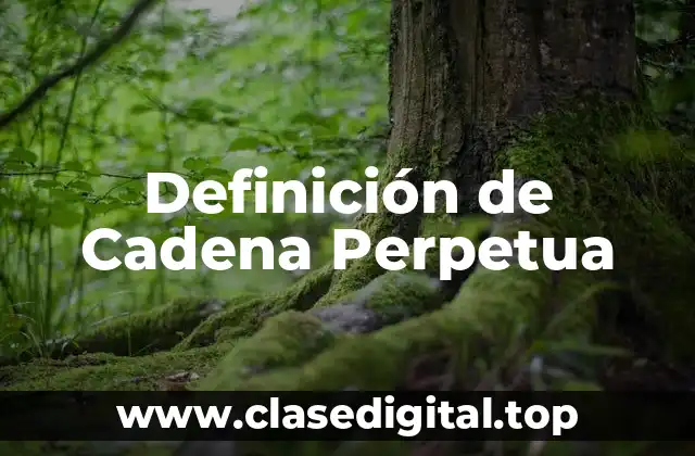 Definición de Cadena Perpetua