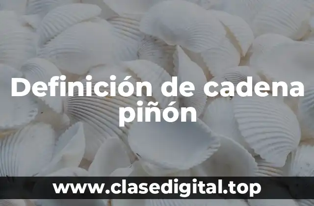 Definición de cadena piñón