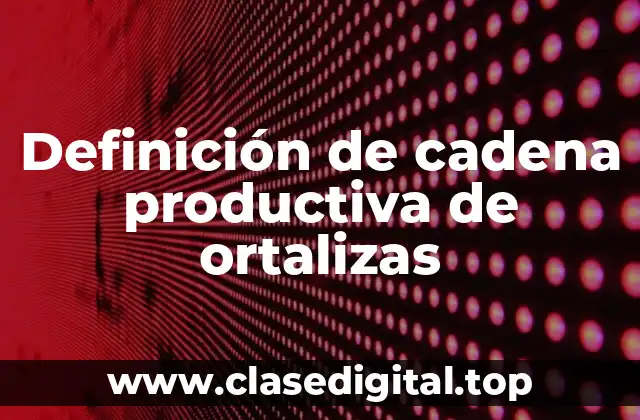 Definición de cadena productiva de ortalizas