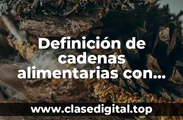 Ejemplos de cadenas alimentarias con dibujos