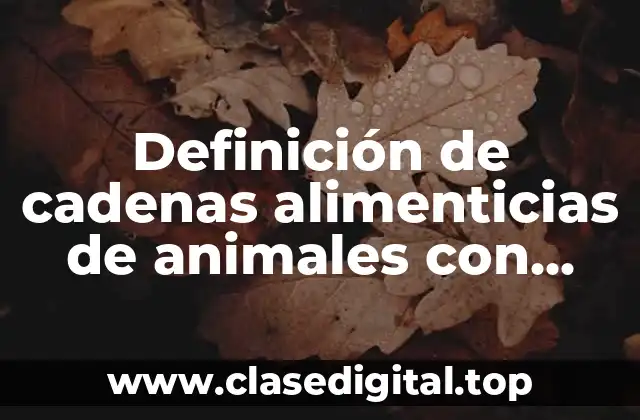 Definición de cadenas alimenticias de animales con nombres