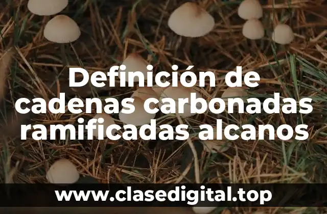 Definición de cadenas carbonadas ramificadas alcanos