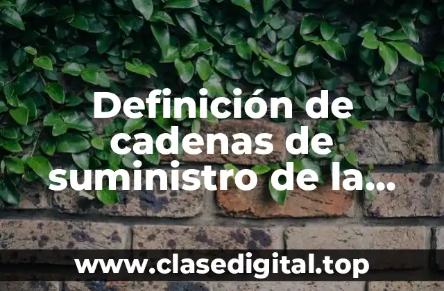 Ejemplos de cadenas de suministro de la empresa Zara