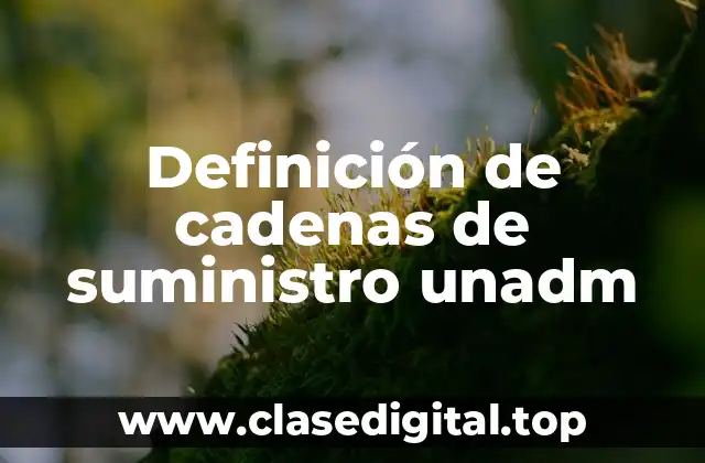 Definición de cadenas de suministro unadm