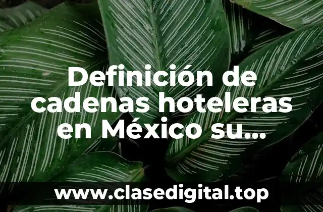 Definición de cadenas hoteleras en México su operatividad