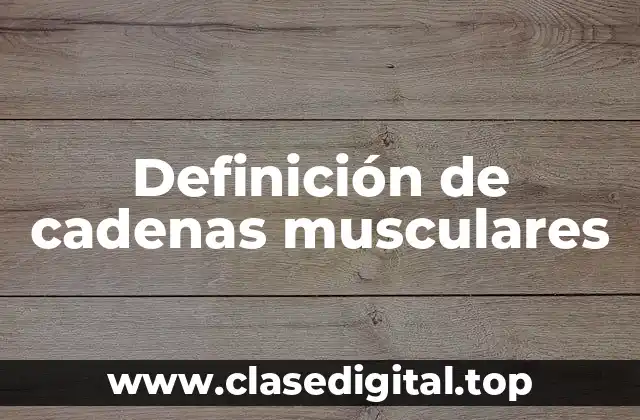 Definición de cadenas musculares