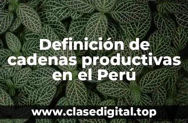 Ejemplos de cadenas productivas en el Perú