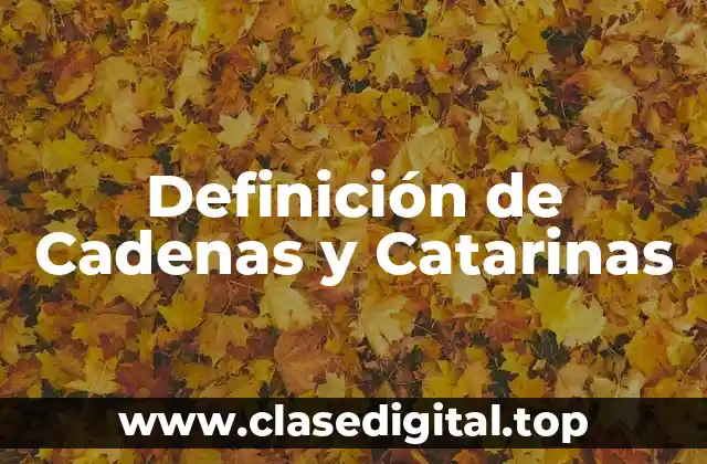 Definición de Cadenas y Catarinas