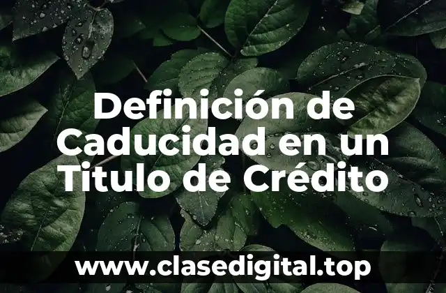 Definición de Caducidad en un Titulo de Crédito