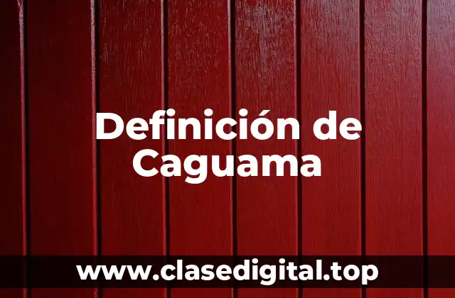 Definición de Caguama