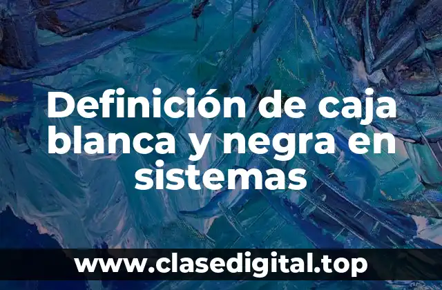 Definición de caja blanca y negra en sistemas